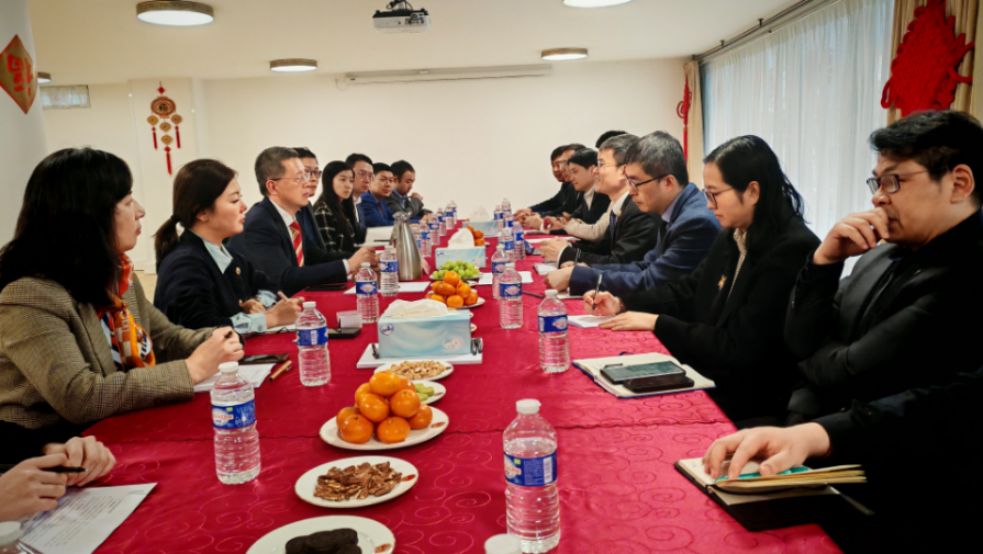 法国中国工商会组织会员企业里昂地方行活动2